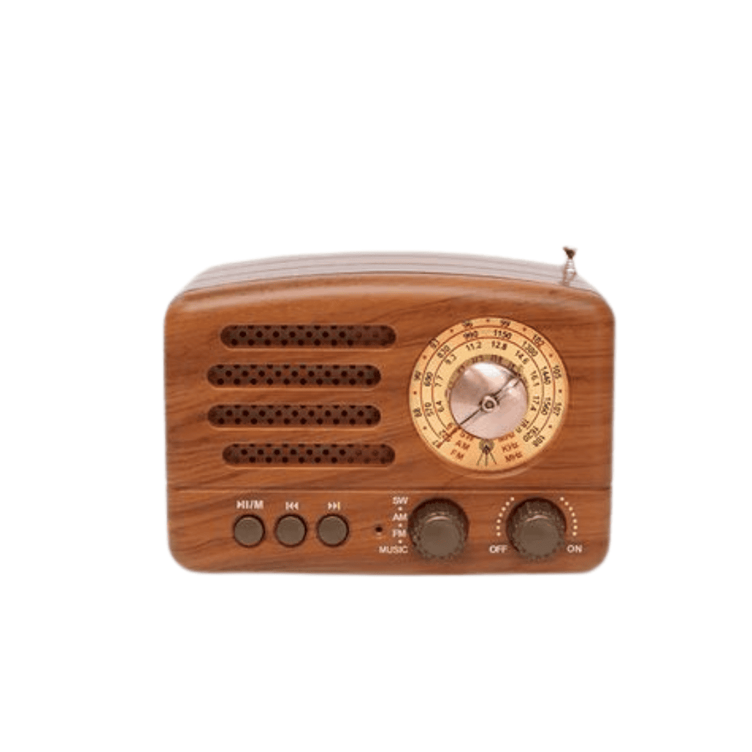 SPEKEAR - RADIO (16)