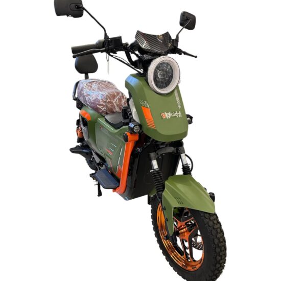 WhatsApp Image 2026-07-16 at 9.46.56 AM (1) BLULORY MOTO ELETRICA U2 PLUS GREEN