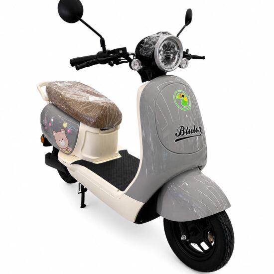 WhatsApp Image 2026-07-14 at 9.54.52 AM MOTO ELETRICA BLULORY Q7 GREY