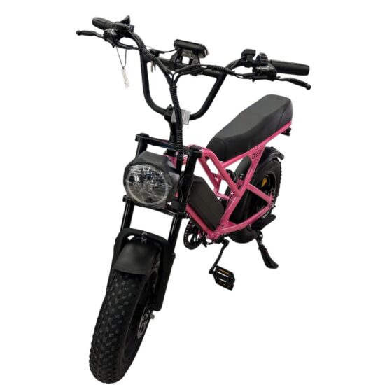 WhatsApp Image 2026-07-15 at 8.06.11 AM MOTO ELETRICA BLULORY G60 MINI PINK