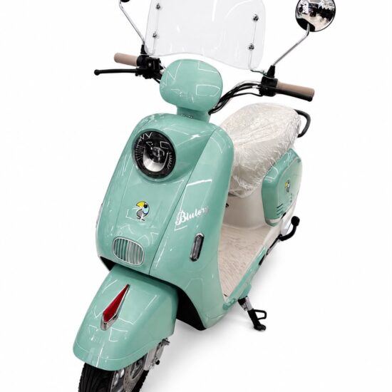 WhatsApp Image 2026-07-29 at 3.09.16 PM MOTO ELETRICA BLULORY MILAN PRO