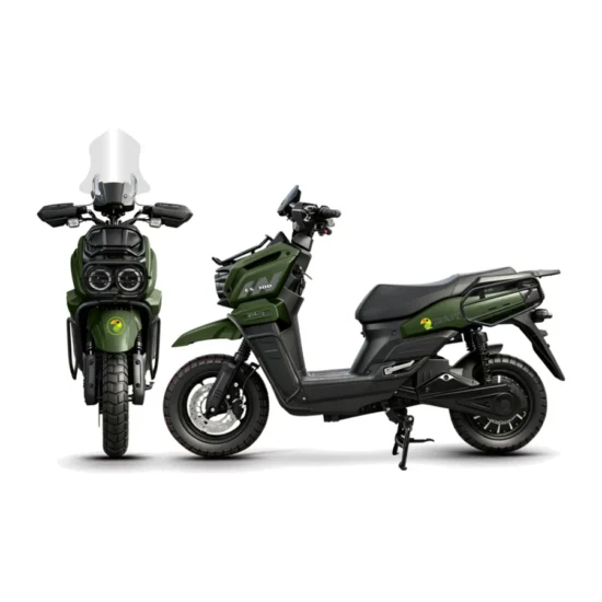 ES300_Green MOTO ELECTRICA BLULORY ES 300 GREEN