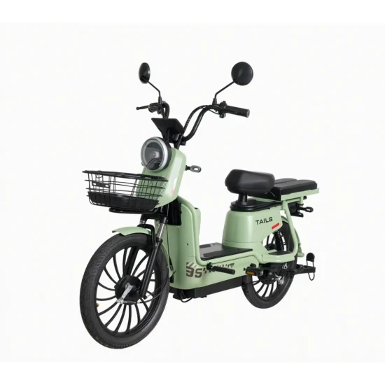 6a772a8eb5db4 MOTO ELETRICA TAILG JF35Z 1000W 60V/20AH L. ACID - GREEN