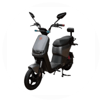 MotoEletrica